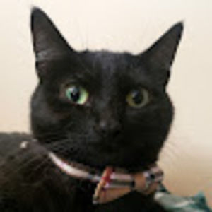 Meet your Posher, Joel